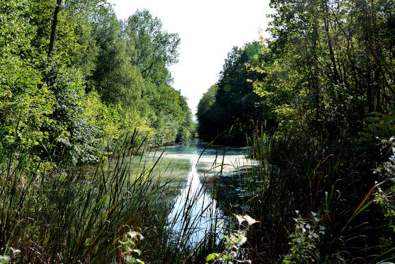 Vestvolden cycle tour - Moat from Double Kaponiere IX