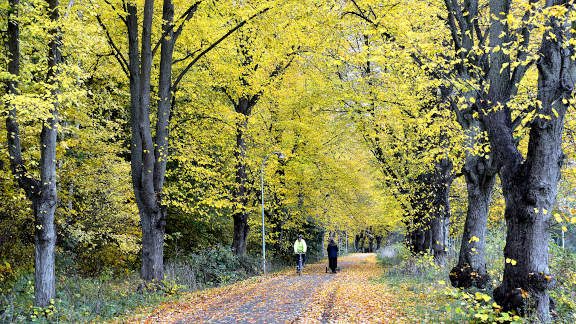 Vestvolden cycle tour - Vestvolden in autumn
