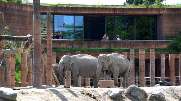 Vesterbro and Frederiksberg cycle tour - Copenhagen Zoo