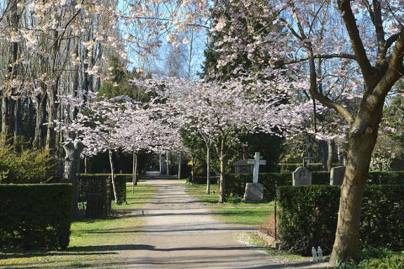 Nørrebro and Østerbro cycle tour - Assistens Kirkegård