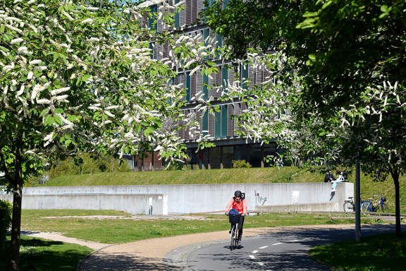 Den Grønne Sti cycle tour - Copenhagen Business School