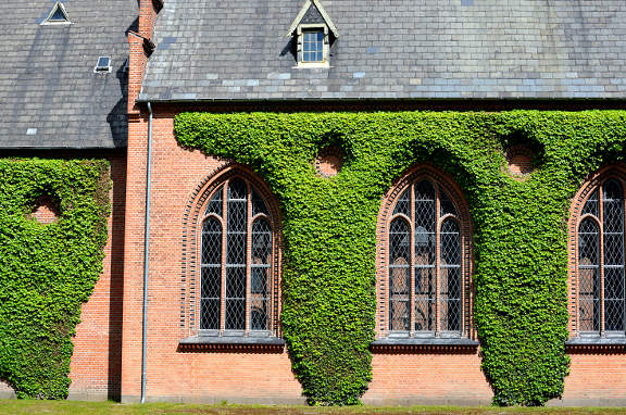 Den Grønne Sti cycle tour - Diakonissestiftelsen