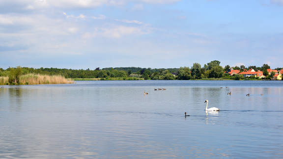 Gentofte cycle tour - Gentofte Lake