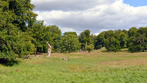 Gentofte cycle tour - Ulvedalene