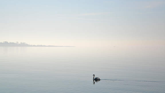 Amager cycle tour - The sea!