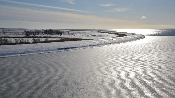 Amager cycle tour - The sea dyke at Svenskeholm