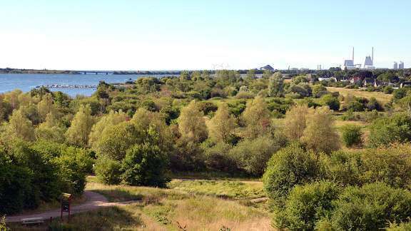 Valby cycle tour - Kystager Park from the mountain