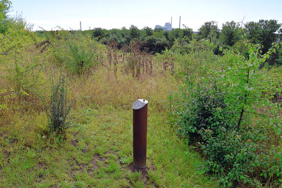 Valby cycle tour - Pluto lost amongst the bushes