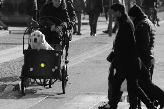 Tour de France Copenhagen - Rådhuspladsen