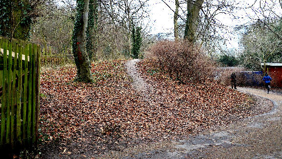 Bellahøj cycle tour - Bellahøj Park round barrow #4