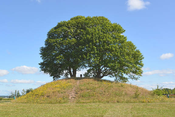 Kalkmalerier cycle tour - Kong Svends Høj